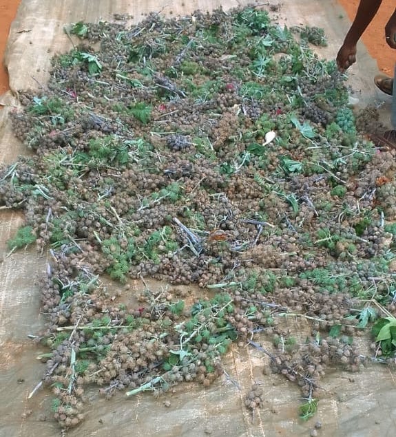 WhatsApp-Image-2024-07-01-at-18.50.17