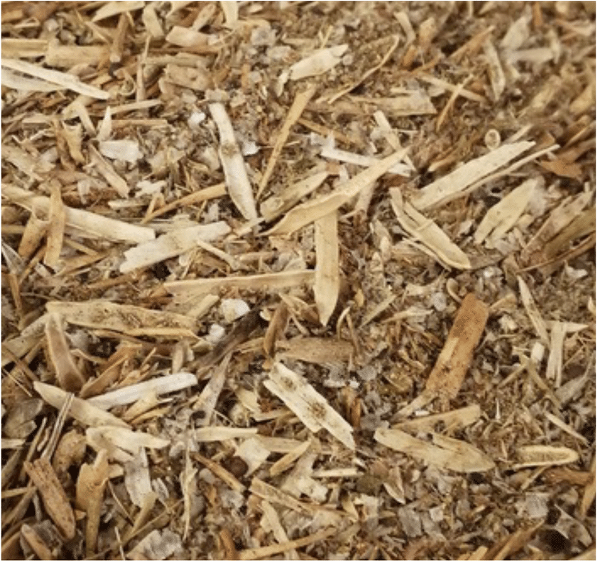 Canola-lignocellulosic-waste-material-generated-in-the-processing-of-canola-Brassica