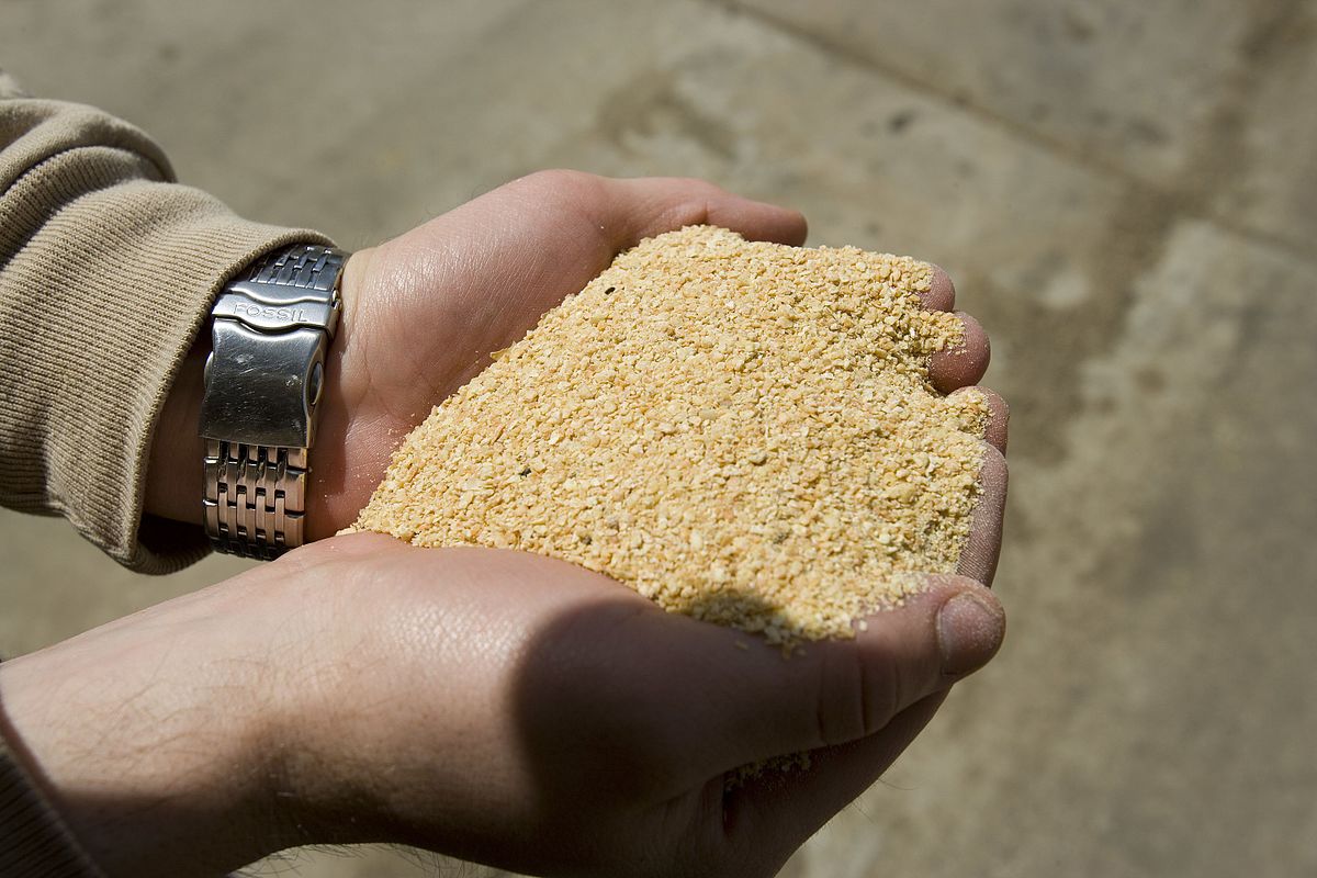 Soybean_Meal_(10059014026)
