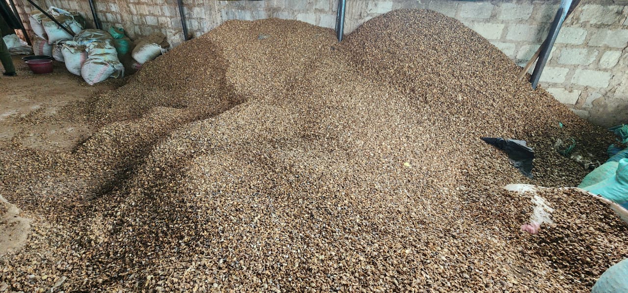 WhatsApp Image 2025-05-06 at 17.01.54 (3)