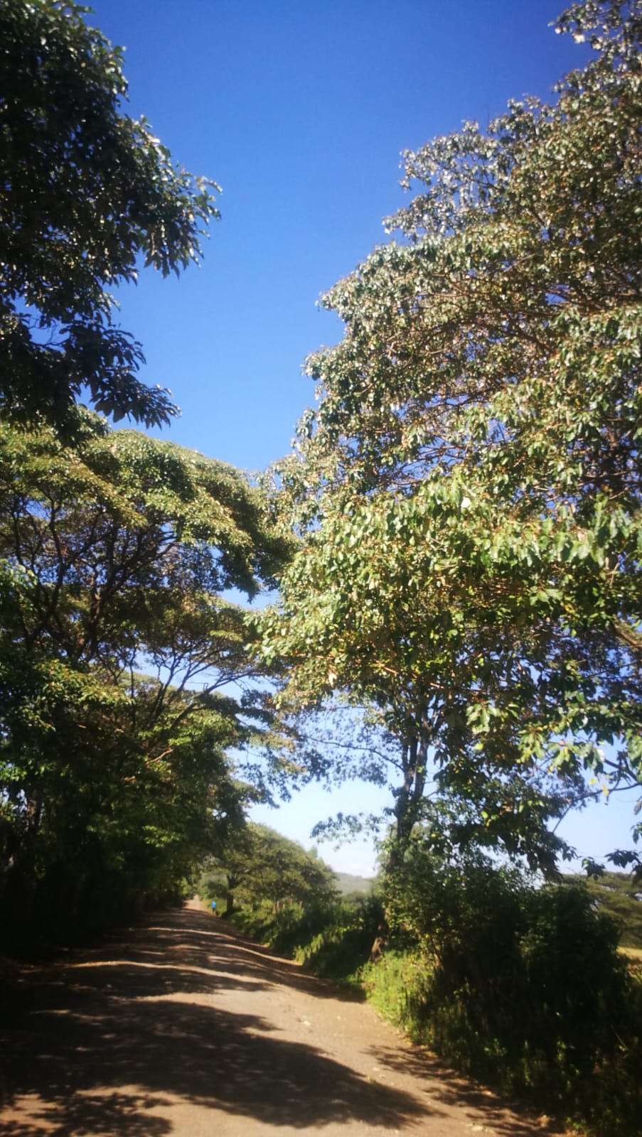 WhatsApp Image 2025-05-06 at 17.55.40 (2)