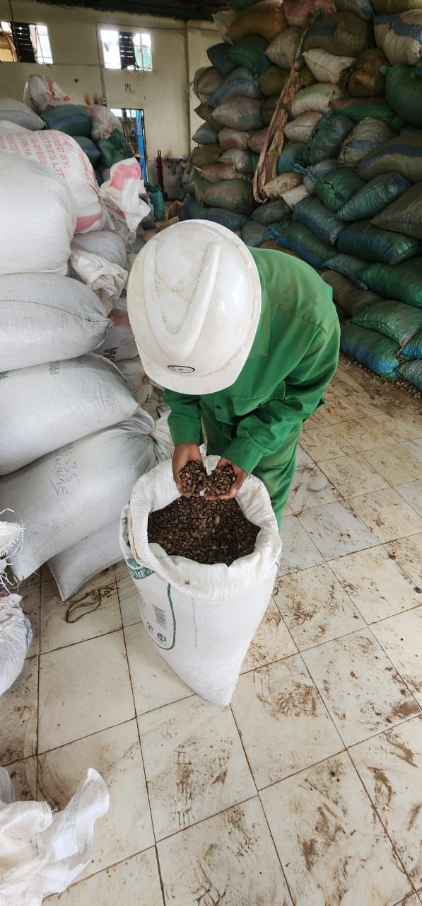 WhatsApp Image 2025-09-19 at 16.33.53